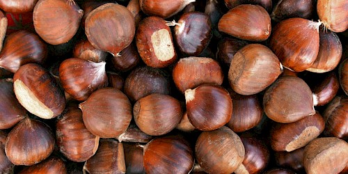 Castagne: tanti modi per cuocerle, mangiarle e conservarle