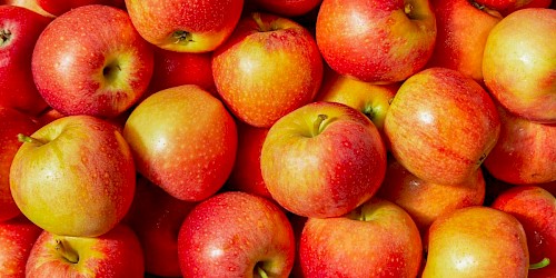 Tutto sulle mele: benefici, valori nutrizionali e varietà