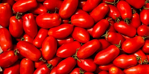 Passata di pomodoro: i consigli per farla come vuole la tradizione