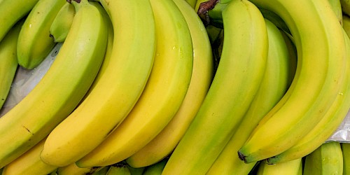 Tutto sulle banane: varietà, calorie, valori nutrizionali e benefici