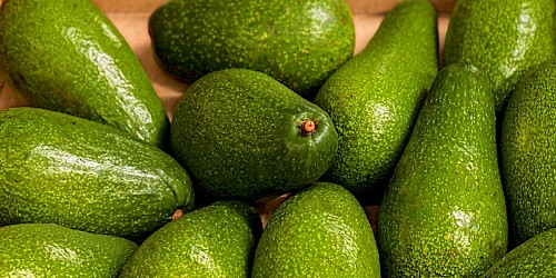 Avocado: proprietà, benefici e 3 idee per mangiarlo a colazione